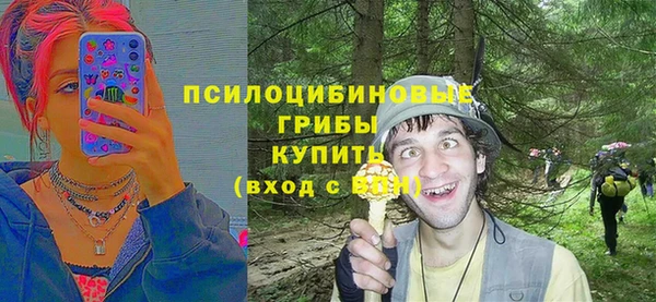 ALPHA-PVP Богданович